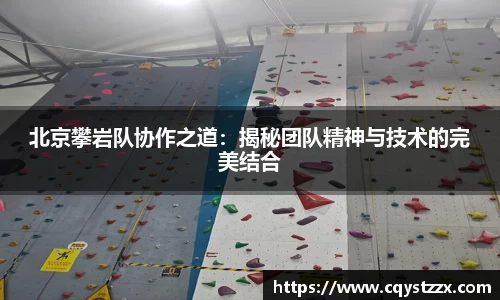 北京攀岩队协作之道：揭秘团队精神与技术的完美结合