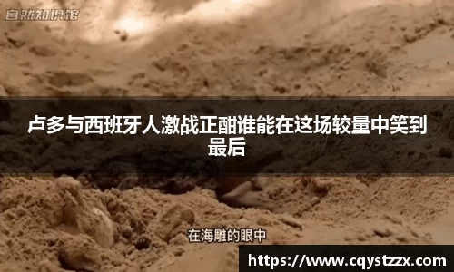彩神vll首页