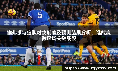 埃弗顿与狼队对决前瞻及预测结果分析，谁能赢得这场关键战役