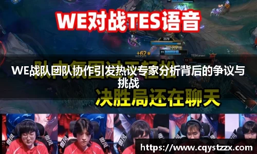 WE战队团队协作引发热议专家分析背后的争议与挑战